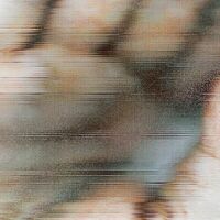 Global Communication - Chapterhouse Retranslated By Global Communication - Blood Music: Pentamerous Metamorphosis vinyl cover