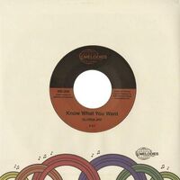 Gloria Jay - Know What You Want / I'm Gonna Make It vinyl cover