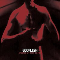 Godflesh - A World Only Lit by Fire vinyl cover