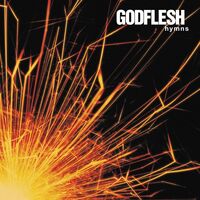 Godflesh - Hymns vinyl cover