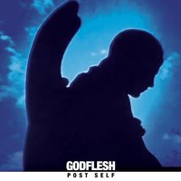 Godflesh - Post Self vinyl cover