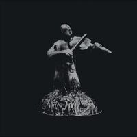 Golden Ivy - Kammarn (Black & Silver) vinyl cover