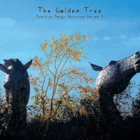 Golden Tree - Scottish Songs Observed Vol 2 (Gold) vinyl cover