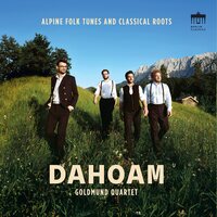 Goldmund Quartet - Dahoam vinyl cover