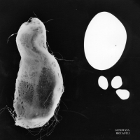 Gondwana - Miccaotli vinyl cover