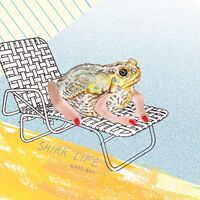 Good Boy - Shirk Life / Plum Double vinyl cover