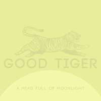 Good Tiger - A Head Full Of Moonlight vinyl cover
