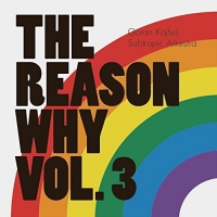 Goran Kajfes Subtropic Arkestra - Reason Why Vol 3 vinyl cover