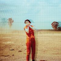 Gordi - Our Two Skins vinyl cover