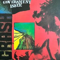 Government Issue - Crash vinyl cover