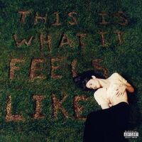 Gracie Abrams - This Is What It Feels Like vinyl cover