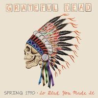 Grateful Dead - Spring 1990-So Glad You Made It vinyl cover