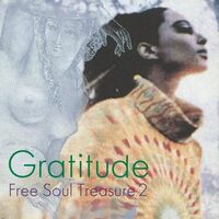 Gratitude: Suburbia Meets Ultra-Vybe 2 - Gratitude: Suburbia Meets Ultra-Vybe ''Free Soul Treasure vinyl cover
