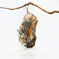 Grayceon - Mothers Weavers Vultures vinyl cover