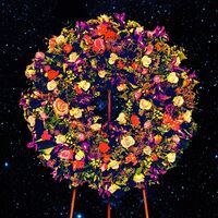 Great Peacock - Forever Worse Better vinyl cover