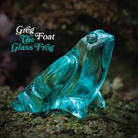 Greg Foat - The Glass Frog vinyl cover