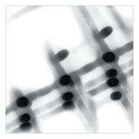 Gregor Samsa - 40:13.5 vinyl cover