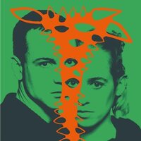 Gregor Schwellenbach - Der Wald In mir vinyl cover