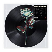 Grey Daze - Amends (Picture #1) vinyl cover