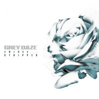 Grey Daze - Amends...stripped vinyl cover