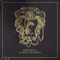 Grizfolk - Rarest Of Birds vinyl cover
