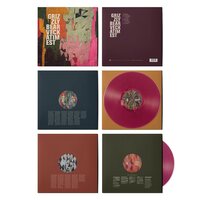 Grizzly Bear - Veckatimest (Magenta) vinyl cover