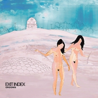 Grooms - Exit Index vinyl cover