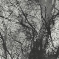 Grouper - Way Their Crept vinyl cover