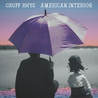 Gruff Rhys - American Interior (2025 Remastered Bonus Edition) vinyl cover