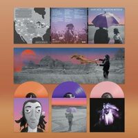 Gruff Rhys - American Interior (Purple, Apricot & Rose) vinyl cover