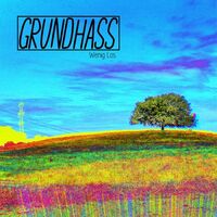 Grundhass - Wenig Los vinyl cover