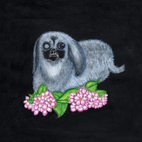 Guadalupe Plata - Guadalupe Plata 2017 vinyl cover