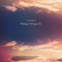 関口シンゴ - tender vinyl cover