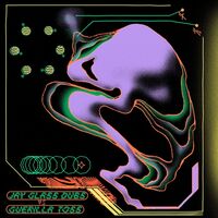 Guerilla Toss - Jay Glass Dubs Vs Guerilla Toss vinyl cover