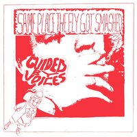 Guided by Voices - Same Place The Fly Got Smashed vinyl cover