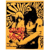 Guided by Voices - Tonics & Twisted Chasers vinyl cover