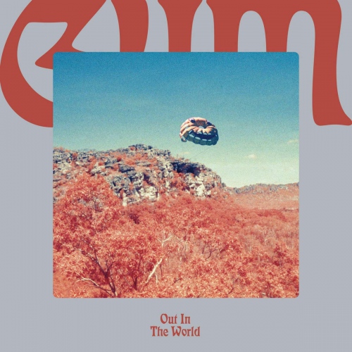 Gum - Out In The World vinyl cover