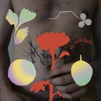 Gundelach - My Frail Body vinyl cover