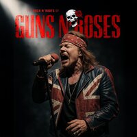 Guns n Roses - The Rock n´ Roots Of vinyl cover