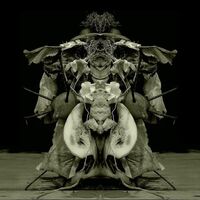 Gurun Gurun - Uzu Oto vinyl cover