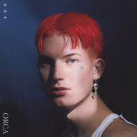 Gus Dapperton - Orca vinyl cover