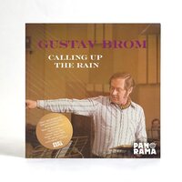 Gustav Brom - Calling Up The Rain vinyl cover