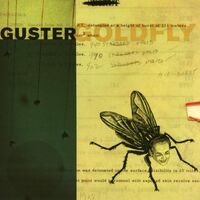 Guster - Goldfly vinyl cover
