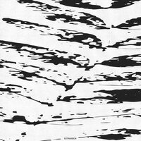 Guy Blakeslee - Extravision vinyl cover