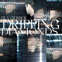 Guy Gerber - Dripping Diamonds vinyl cover