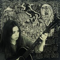 Gwenifer Raymond - Last Night I Heard The Dog Star Bark vinyl cover