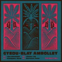 Gyedu Blay Ambolley - The Message vinyl cover