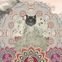 Gypsy Mamba - Magnetic Syndromes vinyl cover