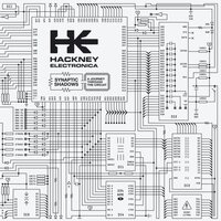 Hackney Electronica - Synaptic Shadows vinyl cover