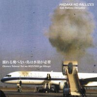 Hadaka No Rallizes (Les Rallizes Denudes) - Flightless Bird Needs Water Wings, Vol. 1 vinyl cover